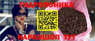 ECSTASY Канаш