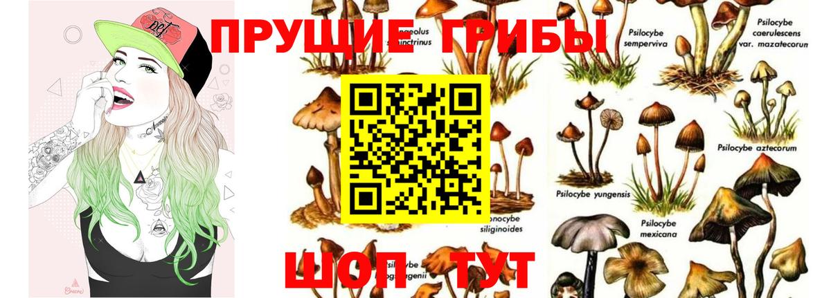Галлюциногенные грибы Psilocybine cubensis  где купить наркоту  Новокуйбышевск  Вход с VPN 